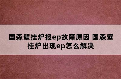 国森壁挂炉报ep故障原因 国森壁挂炉出现ep怎么解决